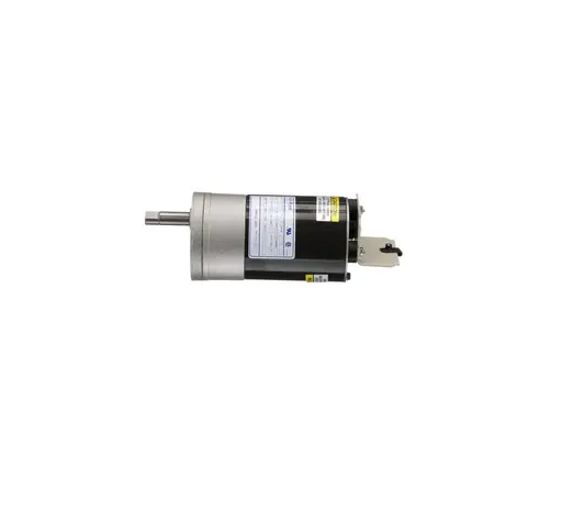 Motor Assembly, Head, 115V