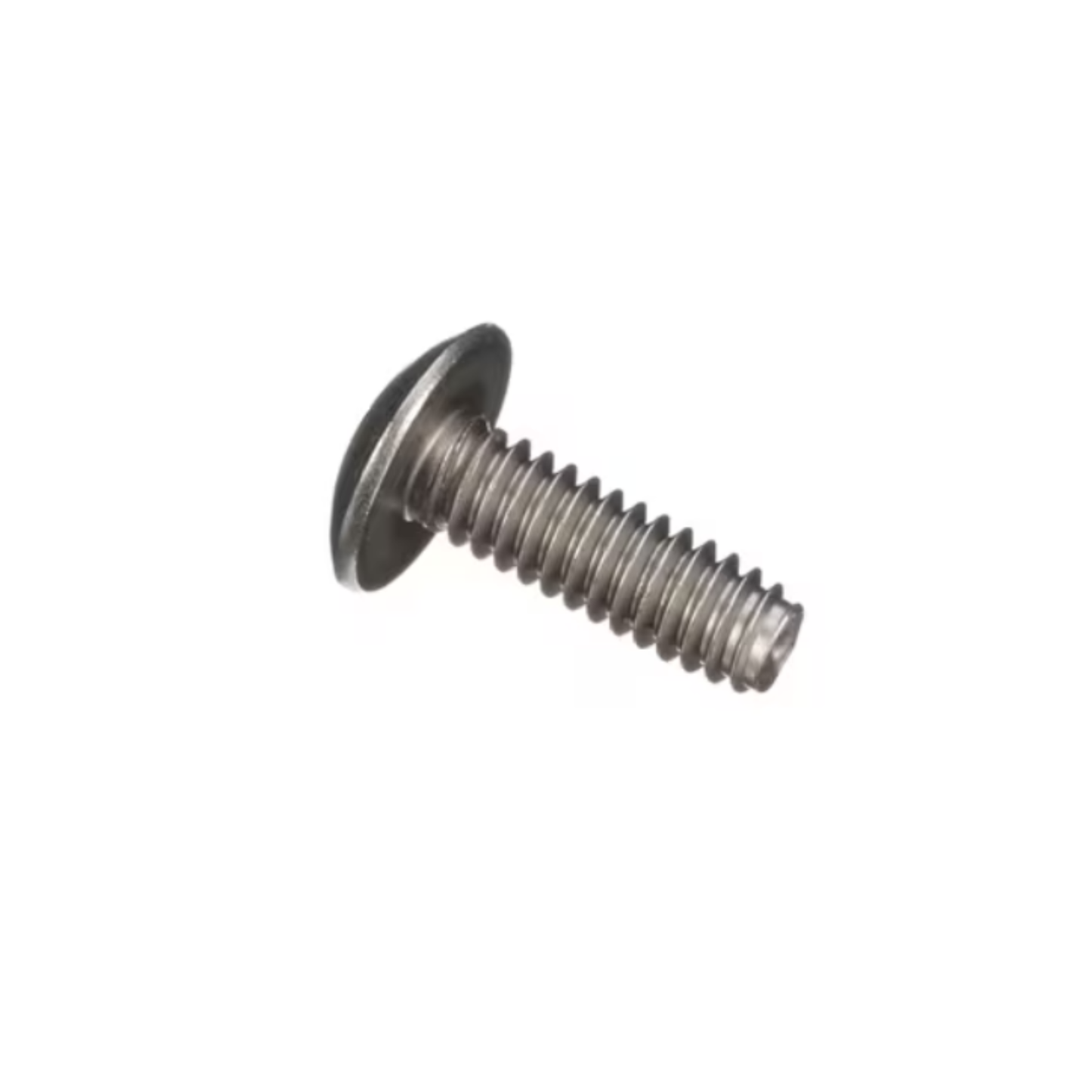 Bolt 6 Lobe Truss Head Stainless T-30 Drive 1/4-20 X 3/4